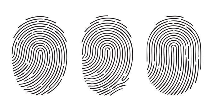 Fingerprint identification set with realistic human finger print patterns for biometric security.