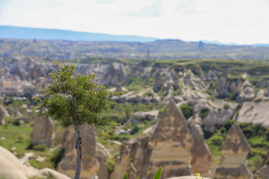 Scenic View of Cappadocia's Unique Landscape
