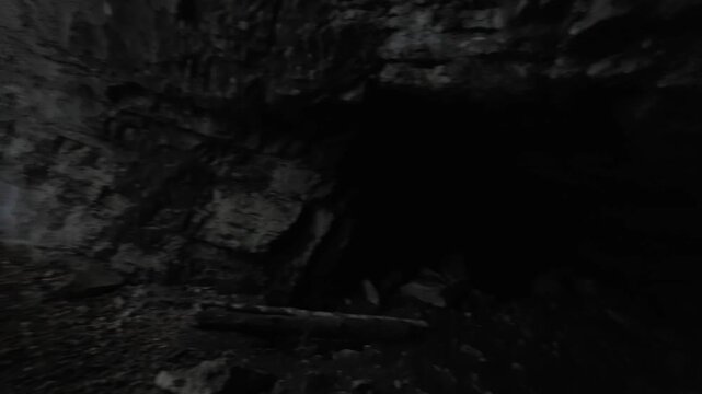 Low-contrast woodland scene showing a shallow cave-like rock overhang at lower left, moss and leaf litter covering the ground, and a vertical rock face to the right. Soft diffuse