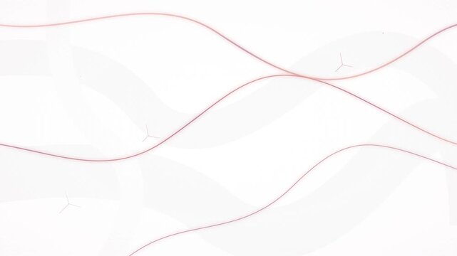 Elegant Rose Gold And Marble Vector Animation