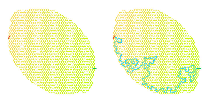 Lemon maze puzzle design illustration with intricate paths and bright colors
