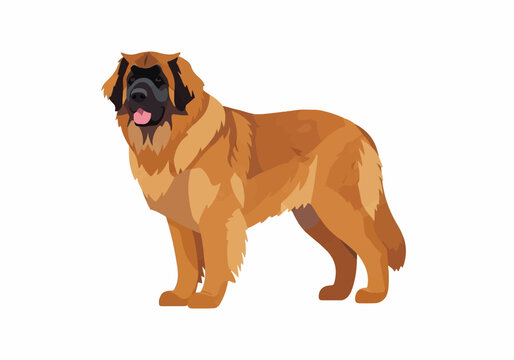 Large Tibetan Mastiff Dog Standing Outdoors in Natural Setting