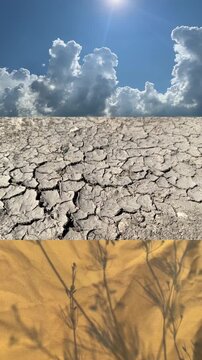 The concept of heat and drought, a collage of three videos