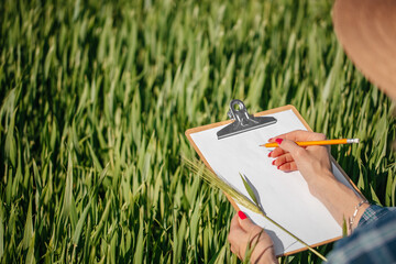 Agronomist inspecting wheat crop and recording field data on clipboard © Надія Коваль