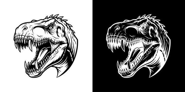 Tyrannosaurus Rex Head Illustration in Black and White.