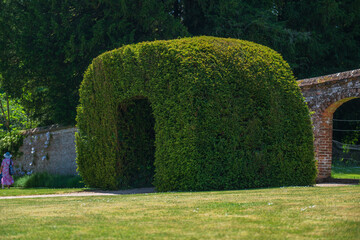 Fototapeta premium Highclere, United Kingdom - 21.05.2026: Large clipped topiary arch beside brick garden arcade on estate grounds, with a distant visitor visible.