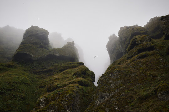 Foggy moss covered gorge in Iceland