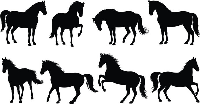 Horse silhouette vector set, collection of running and standing black stallions, isolated icons on white background