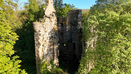 Fototapeta premium A side perspective of Corse Castle in Scotland reveals massive stone walls rising beside towering trees and dense greenery.