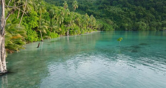 Serene tropical lagoon in the Torres Islands, Vanuatu, showcasing vibrant green palm trees lining pristine shoreline and shallow turquoise water. Remote natural landscape. Exotic travel destination