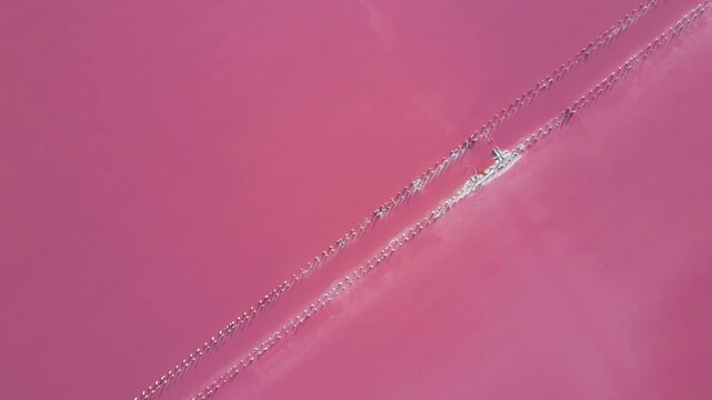 Aerial top down  abstract view of pink salt lake texture.The camera moves smoothly over perfect geometric rows of historic wooden pillars submerged in colorful mineral water. 