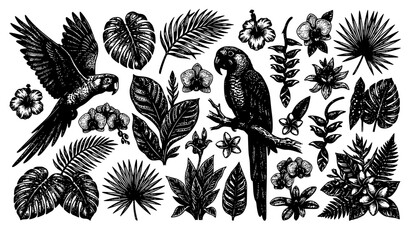 SEO Title: Tropical Parrots and Flowers Engraving Style Vector Illustration Macaw Jungle Bird Set Isolated on White © Fatik