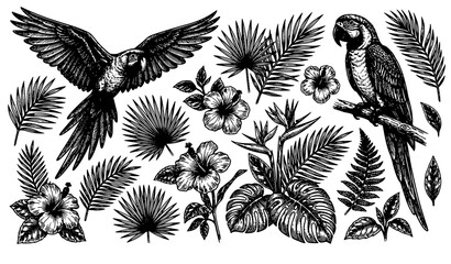 SEO Title: Hand Drawn Tropical Parrots and Exotic Flowers Vector Engraving Collection Macaw Illustration Isolated on White © Fatik
