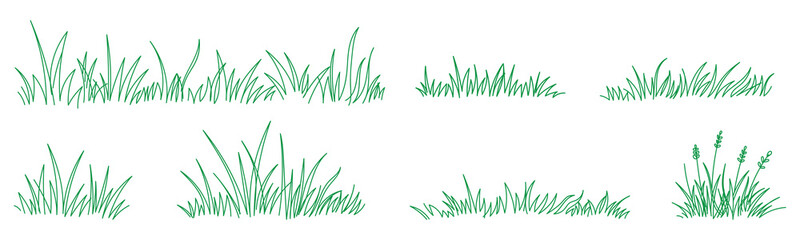 Fototapeta premium Grass line doodle set with meadow outlines and hand drawn lawn brush elements vector collection 