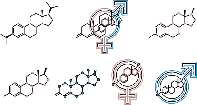 Hormone Chemical Structure and Gender Symbol Set Featuring Testosterone and Estrogen Molecular Formulas for Science and Medical Graphic Designs