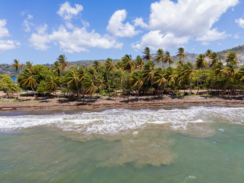 Drone View of Palm-Lined Beach and Surf Tobago