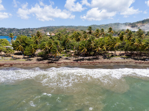Aerial View of Tropical Beach with Palm Trees and Waves Tobago