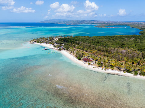 Aerial View of Tropical Beach with Palm Trees Tobago