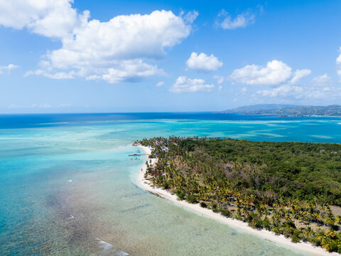 Aerial View of Palm-Lined Beach and Calm Turquoise Sea Tobago
