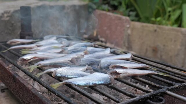 Fresh sardines grilling on a smoky barbecue
