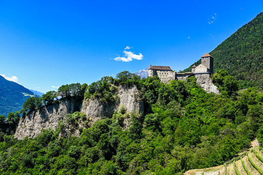 Dorf Tirol, Schloss Tirol, Algund, Weinberg, Weinpergola, Landwirtschaft, Wanderweg, Waalweg, Vinschgau, S&uuml;dtirol, Texelgruppe, Fr&uuml;hling, Sommer, Italien