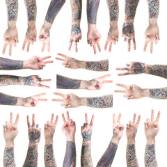 Fototapeta premium Man showing his tattooed hands, closeup. Set with gesture on white background