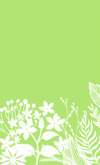 Obraz premium Delicate green floral frame with white flowers dandelion. Hand drawn. Not AI, vector illustration.