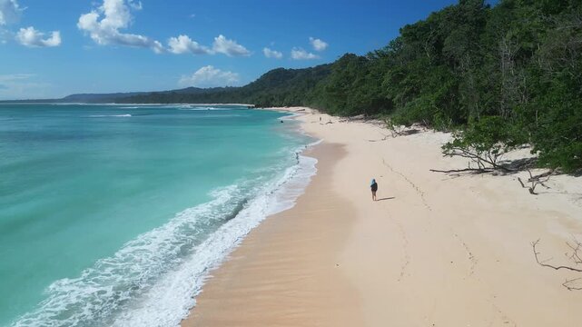 Turquoise sea sandy beach asian woman strolling along untouched shoreline beneath dense jungle, drone perspective, gentle surf, footprints in sand, Alas Purwo, National Park, Grajagan Bay, Java island
