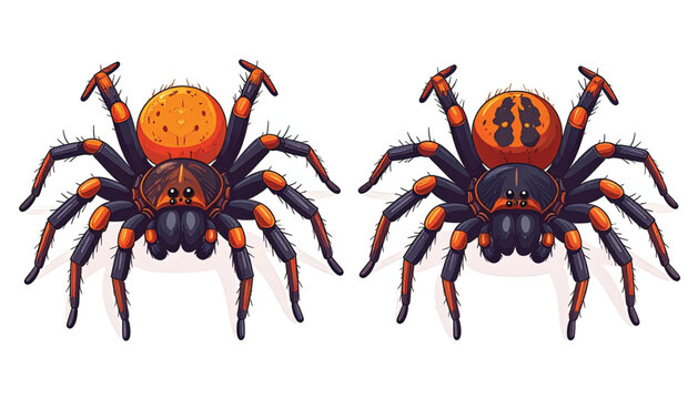 Two Orange and Black Tarantulas Side.