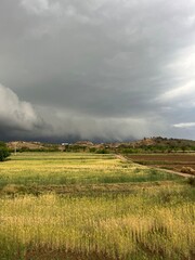 Fototapeta premium Golden Dry Farmland Under Dramatic Stormy Grey Clouds with Trees on Horizon