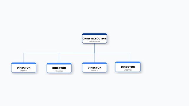 Organizational Chart Hierarchy Infographic Animation
