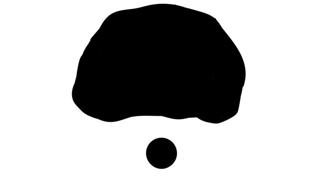 Clown Wig And Nose