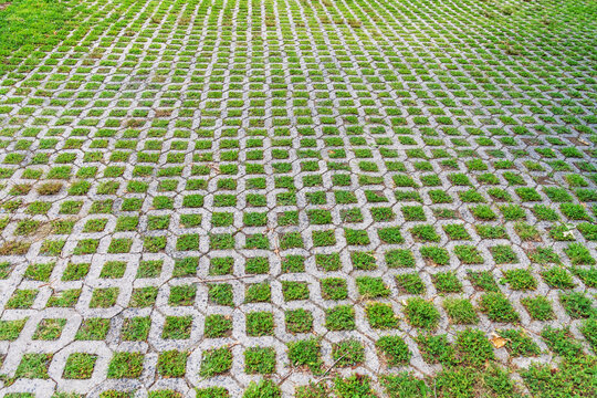 Permeable concrete pavers with green grass creating sustainable ground surface