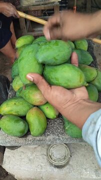 Hands Arranging Green Unripe Mangoes on Traditional Stone Metate