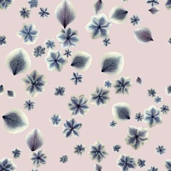 Seamless pressed blue hydrangea flower pattern on dusty pink background © Futaba