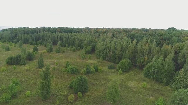 Drone flying circular path at forest border