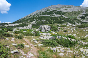 Obraz premium Pirin Mountain near Banderitsa Area, Bulgaria