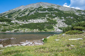 Fototapeta premium Pirin Mountain near Banderitsa Area, Bulgaria