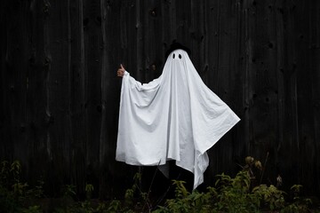 Naklejka premium Ghost