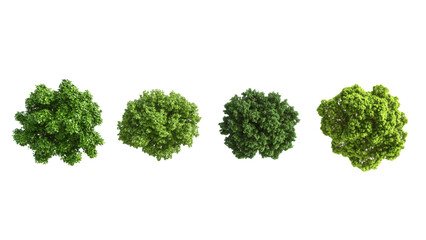 Obraz premium Collection of four distinct and vibrant green trees or bushes from a top-down perspective, perfect for architectural landscaping plans and environmental designs&nbsp;