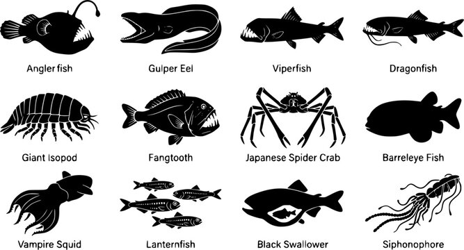 Deep Sea Creatures Silhouette Icons &ndash; Wildlife & Nature Vector Bundle