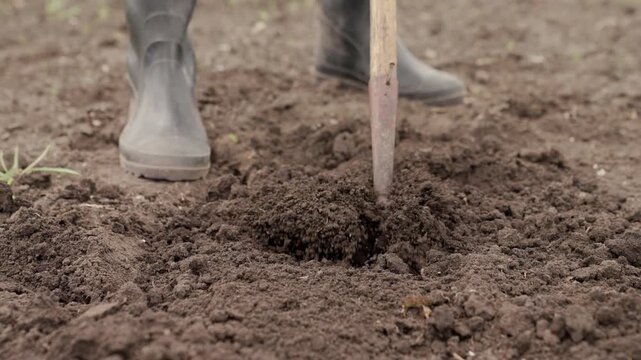 Gardener digging up a home garden soil with a hoe, preparing the ground for seedling transplanting, handheld shot.
