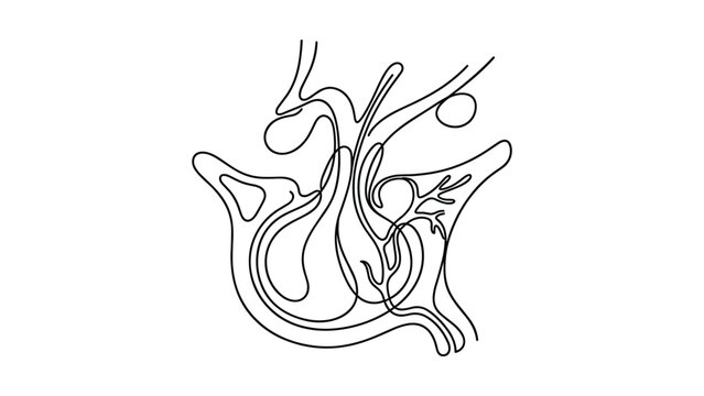Continuous one line drawing of human paranasal sinus anatomy.