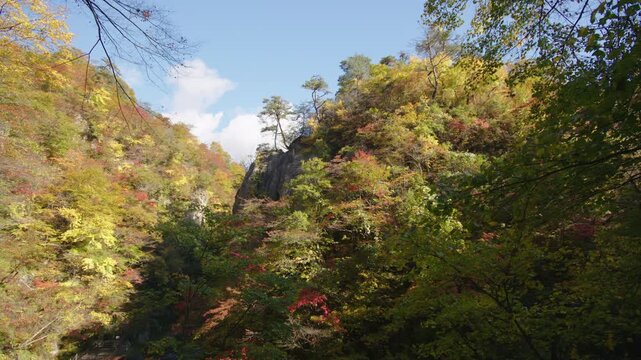 紅葉の名所 秋の鳴子峡の風景　Autumn scenery of Naruko Gorge, a famous spot for autumn foliage.