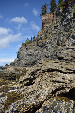 Rock cline at Kachemak Bay in Homer Alaska