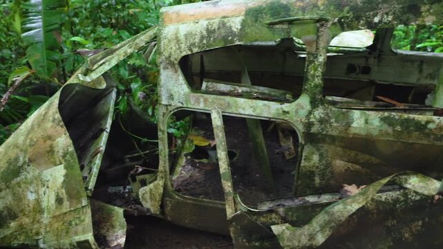 Crashed airplane that went down in the jungle more than 40 years ago lies abandoned and overgrown. Moss and lichen cover the corroded metal fuselage as tropical vegetation reclaims the wreckage site.