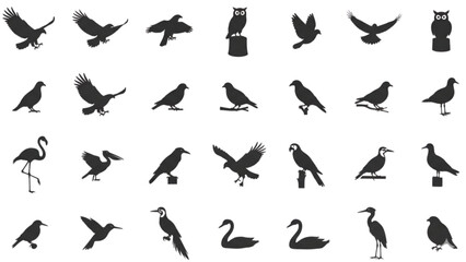 Birds silhouette collection icons set representing flying species wildlife ornithology nature conservation freedom avian fauna and ecological biodiversity design © Sakhawat Hossen 