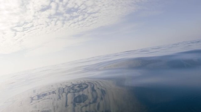 Slow motion video of a common dolphin leaping from a glassy ocean as calm water reflects the sky and clouds along the east coast of Australia.