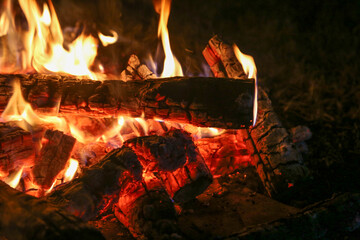 Campfire,  © TeTsumi