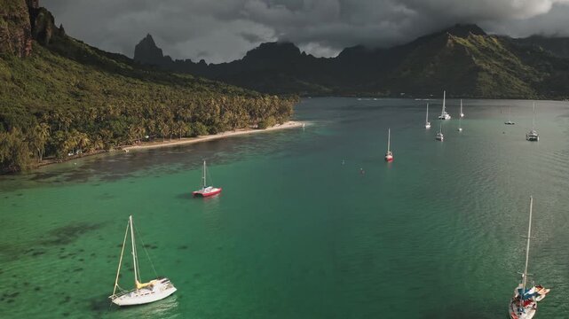 Many sailboats moored in clear turquoise Opunohu Bay, Moorea, French Polynesia, with a palm-fringed sandy beach and lush green mountains beneath a dramatic cloudy sky. Aerial view drone flight